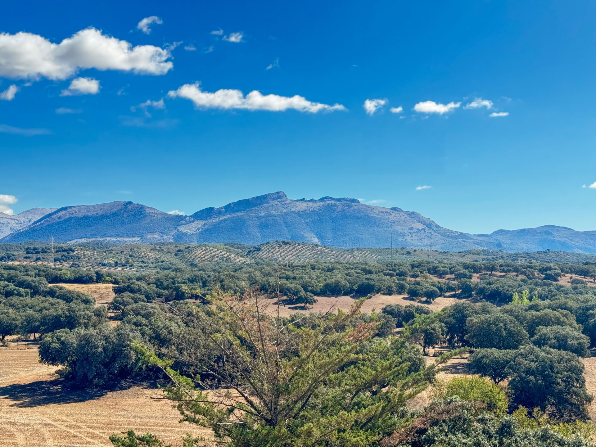 Affitta Finca La Lola