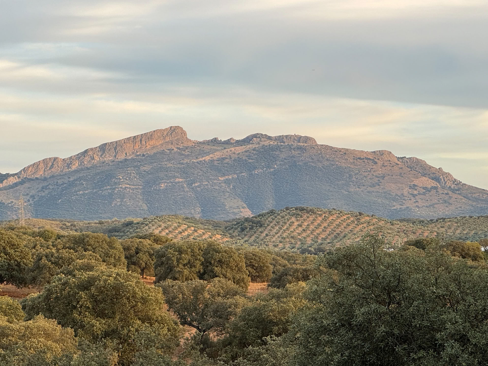 Affitta Finca La Lola