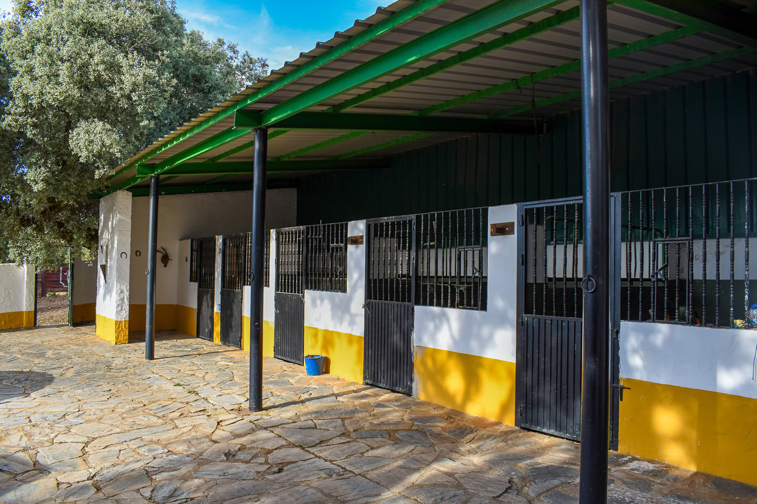 Affitta Finca La Lola