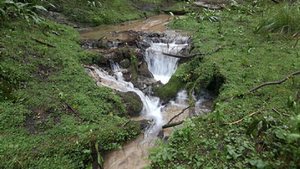 Risveglia il tuo sé creativo - ritiro di un giorno, sabato