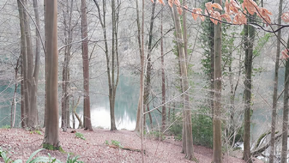 Risveglia il tuo sé creativo - ritiro di un giorno, sabato