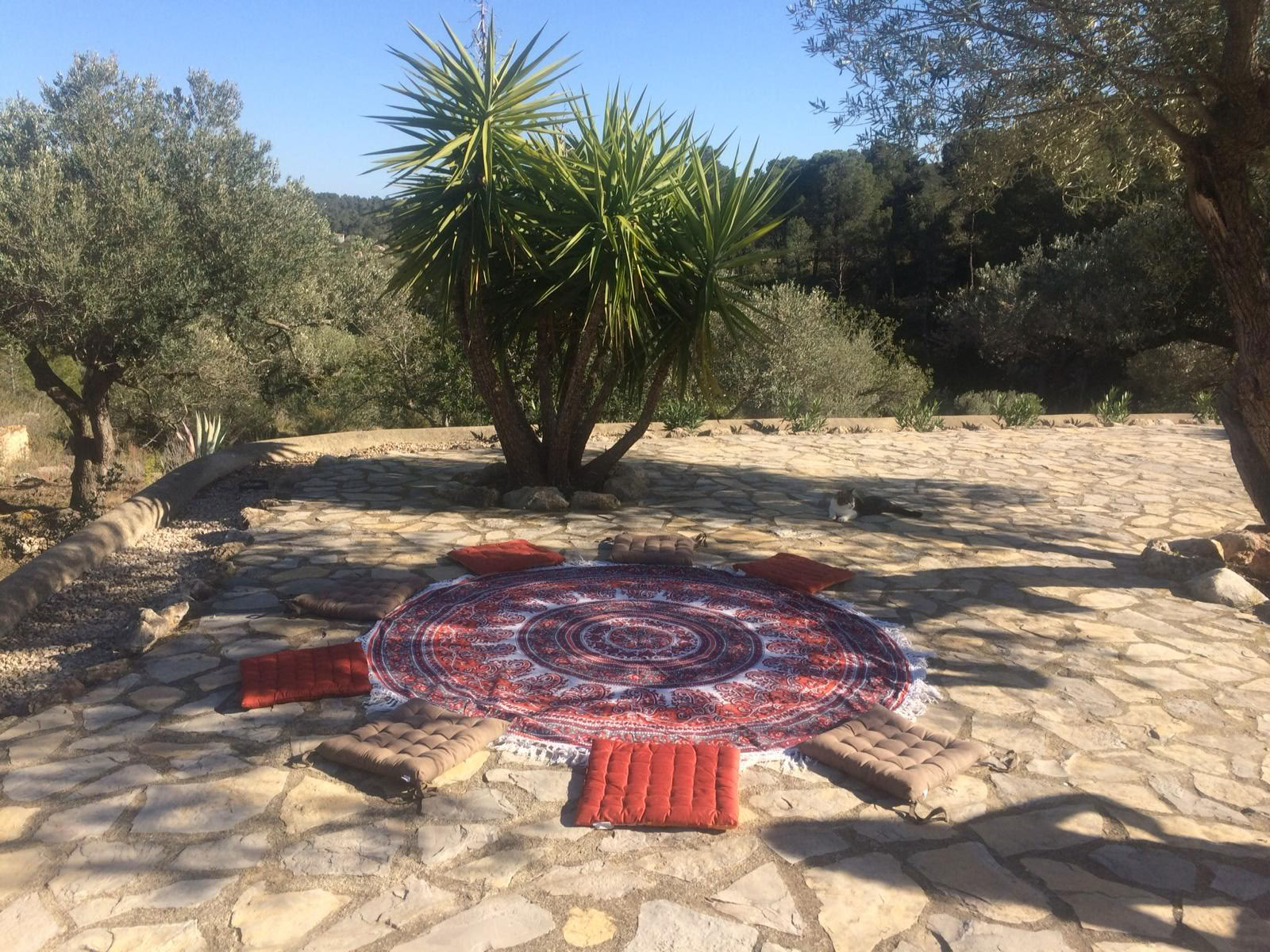 Ritiro di Yoga e Meditazione per il Riposo Profondo