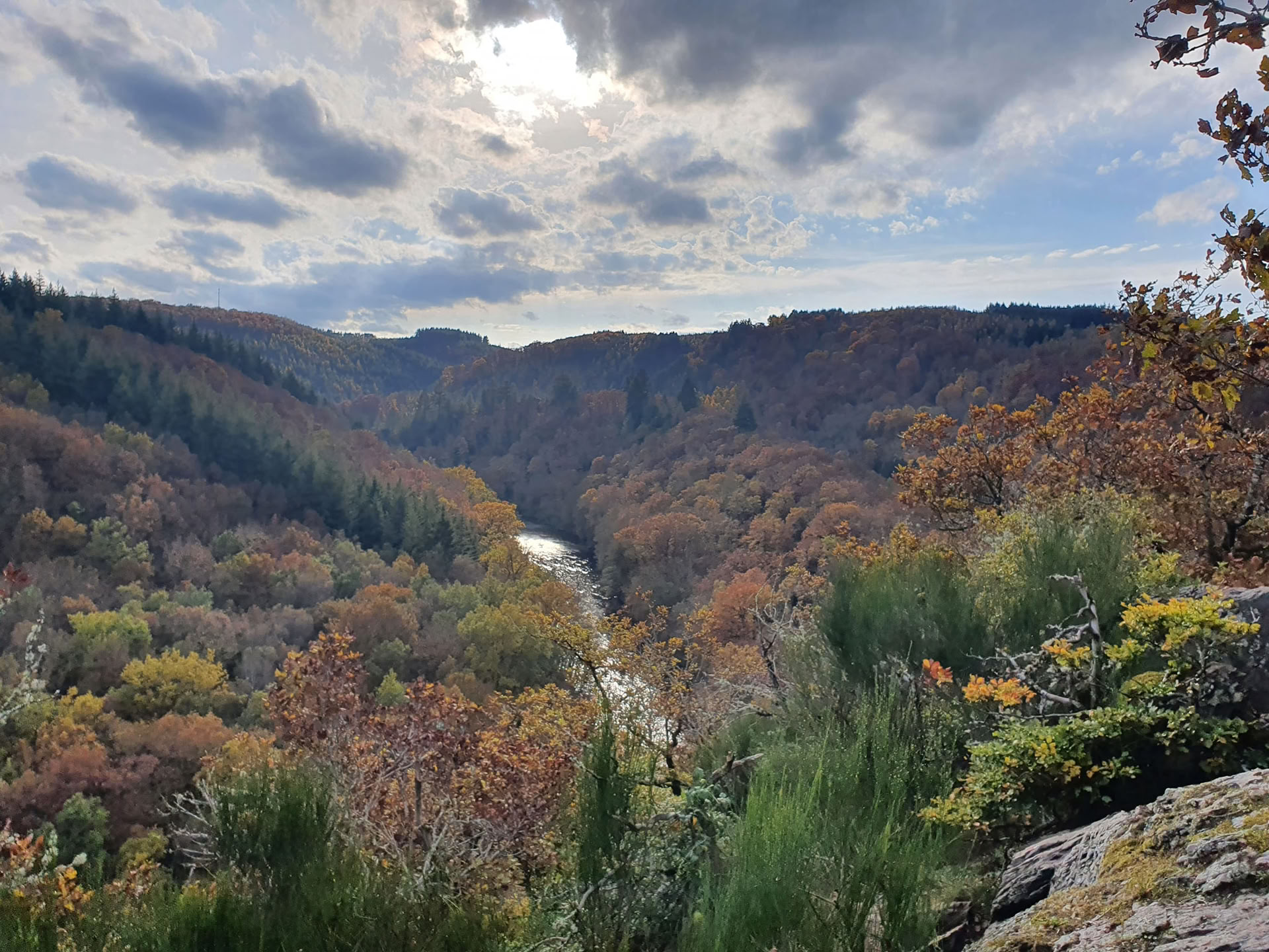 Formazione annuale Natura e Anima 2027 – 15 maggio al 14 novembre 2027