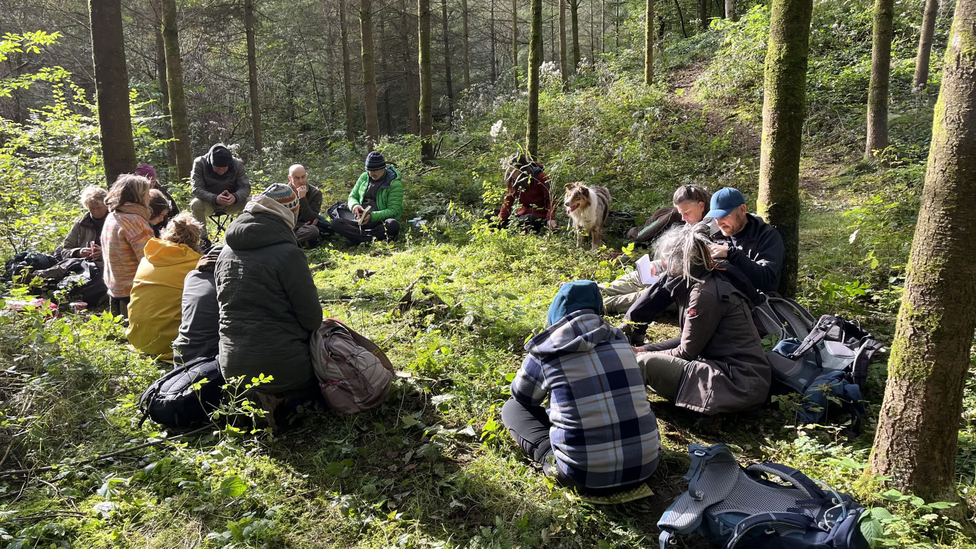 Formazione annuale Natura e Anima 2027 – 15 maggio al 14 novembre 2027