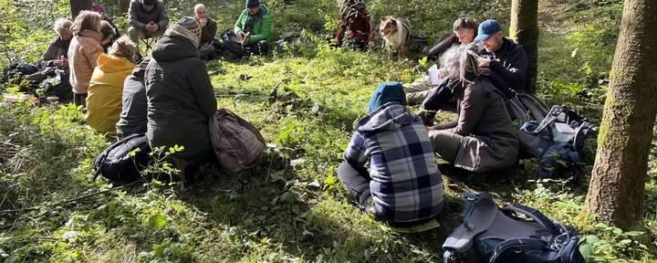 Formazione Mirroring per accompagnatori nella natura e coach – 22-25 ottobre 2026 – ULTIMI 2 POSTI