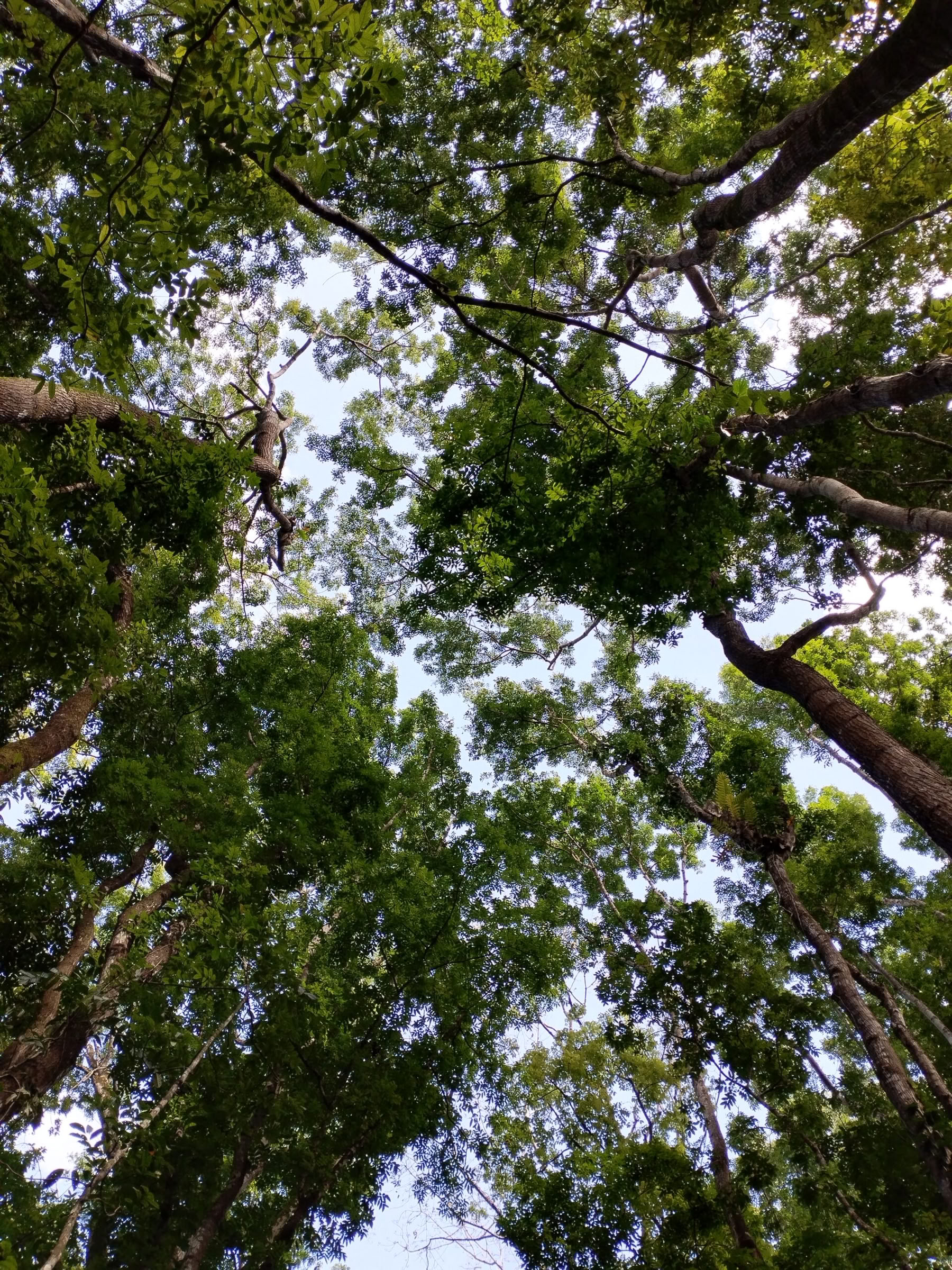 5 giorni e 4 notti di viaggio di mindfulness