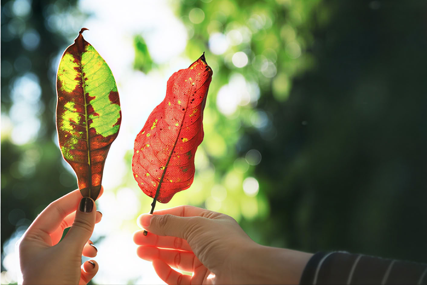 5 giorni e 4 notti di viaggio di mindfulness