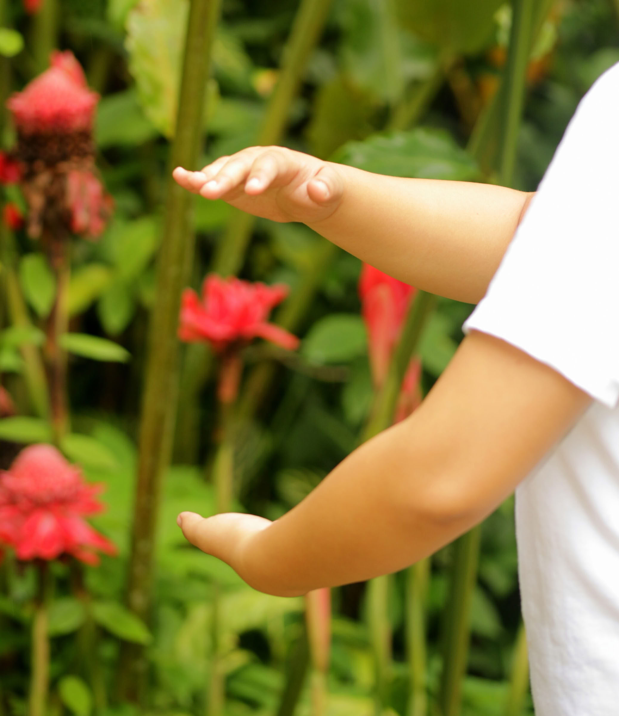 5 giorni e 4 notti di viaggio di mindfulness