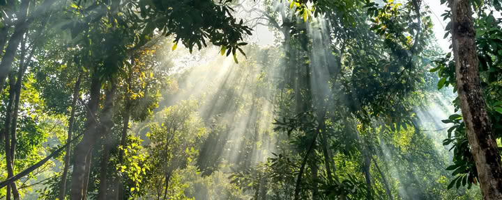5 giorni e 4 notti di viaggio di mindfulness