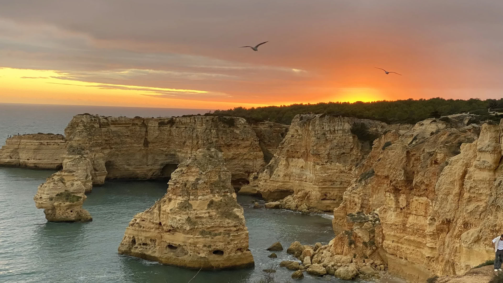 9 - 15 ottobre 2026 — ritiro di yoga in Algarve