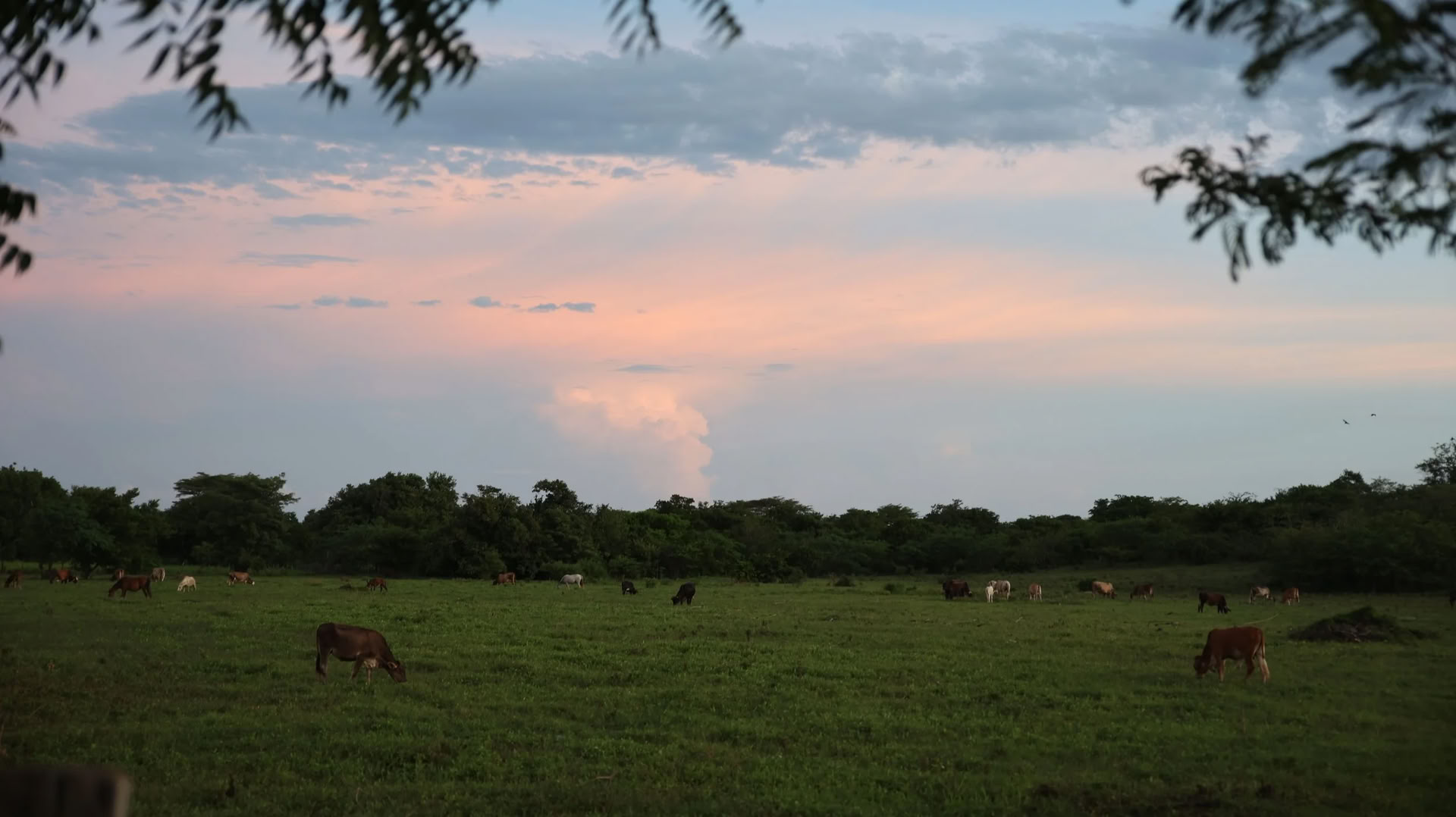 Sessione al tramonto di 1,5–2 ore