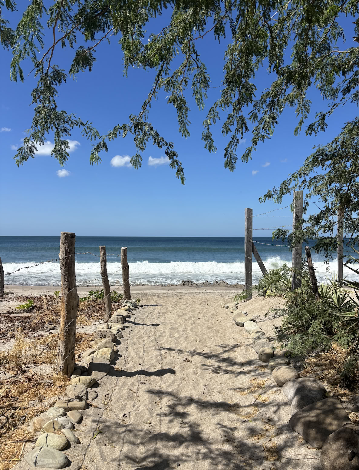 Ritiro di yoga in Nicaragua, febbraio 2027