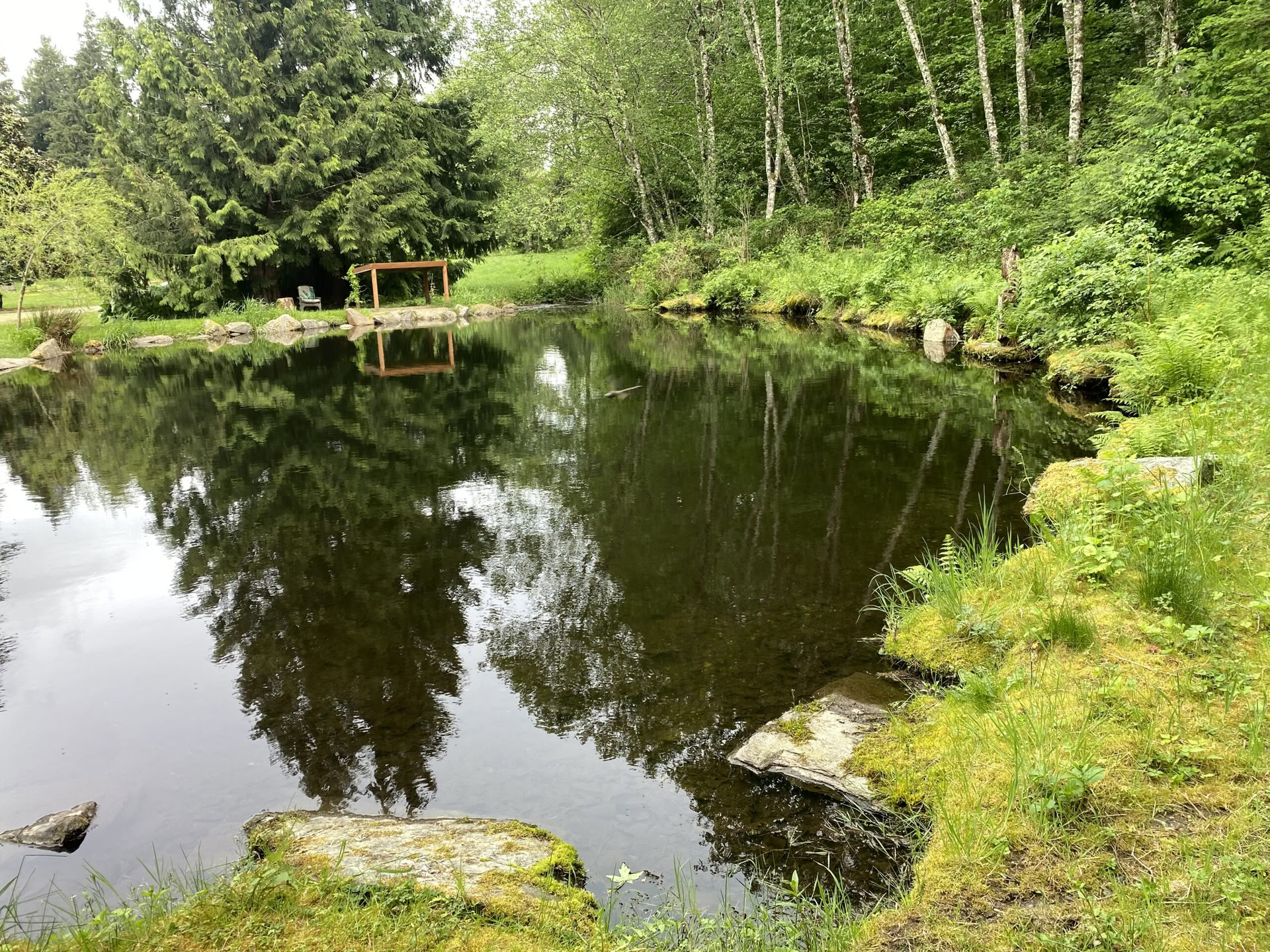 Ritiro di yoga, escursionismo e guarigione alle cascate di Fox Creek