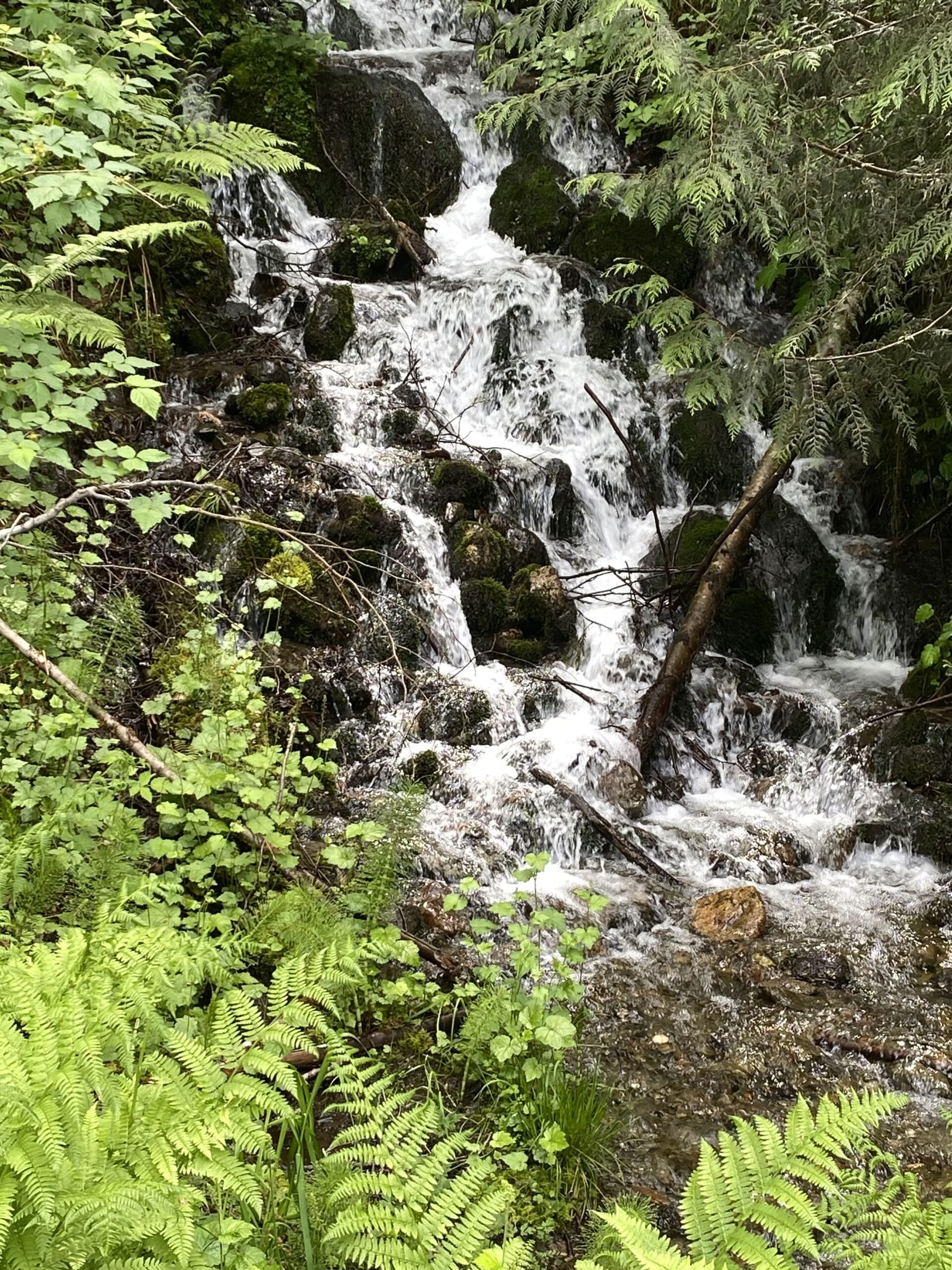 Ritiro di yoga, escursionismo e guarigione alle cascate di Fox Creek