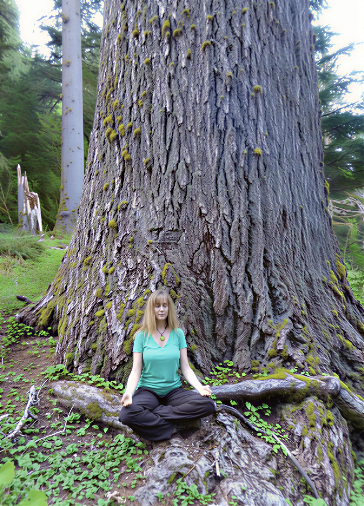 Ritiro di meditazione ed escursione alle cascate