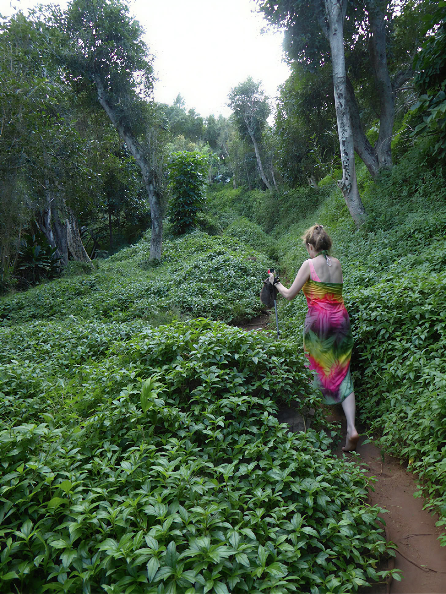 Ritiro di yoga a Kauai, Hawaii
