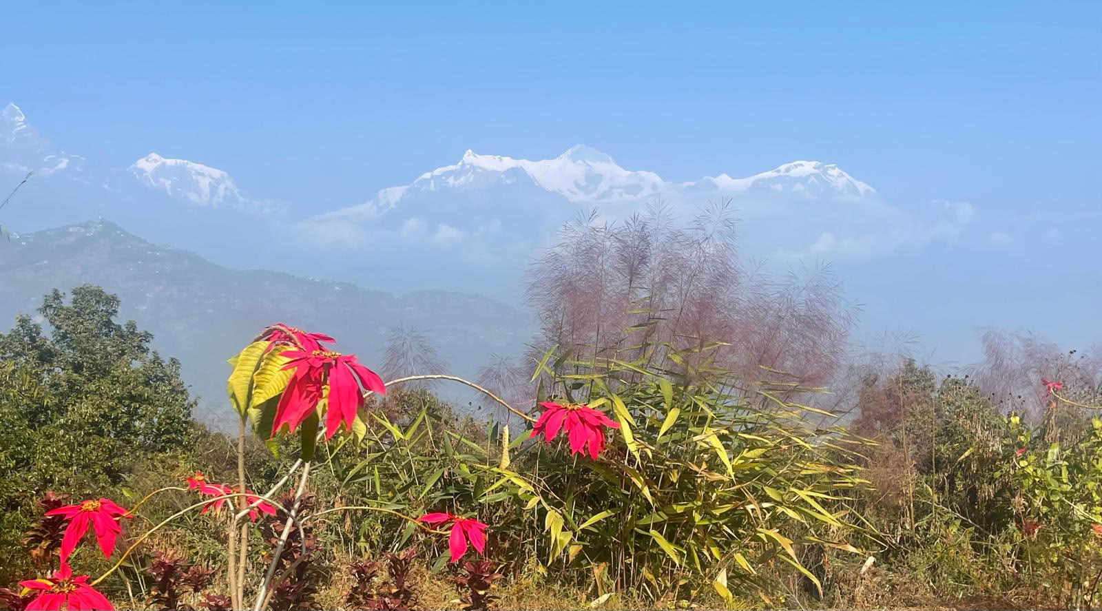 Ritiro di guarigione e avventura sull’Himalaya