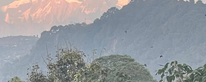 Ritiro di guarigione e avventura sull’Himalaya