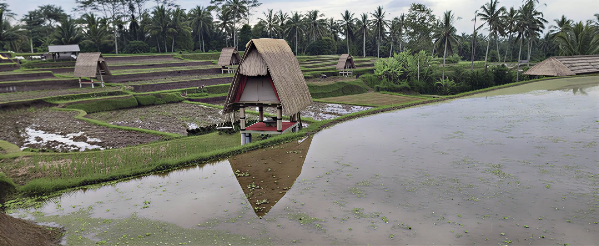 Ritiro a Bali