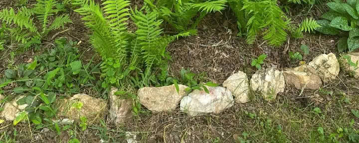 Ritiro della Dea d’Autunno: campeggio, couch surfing e pendolarismo