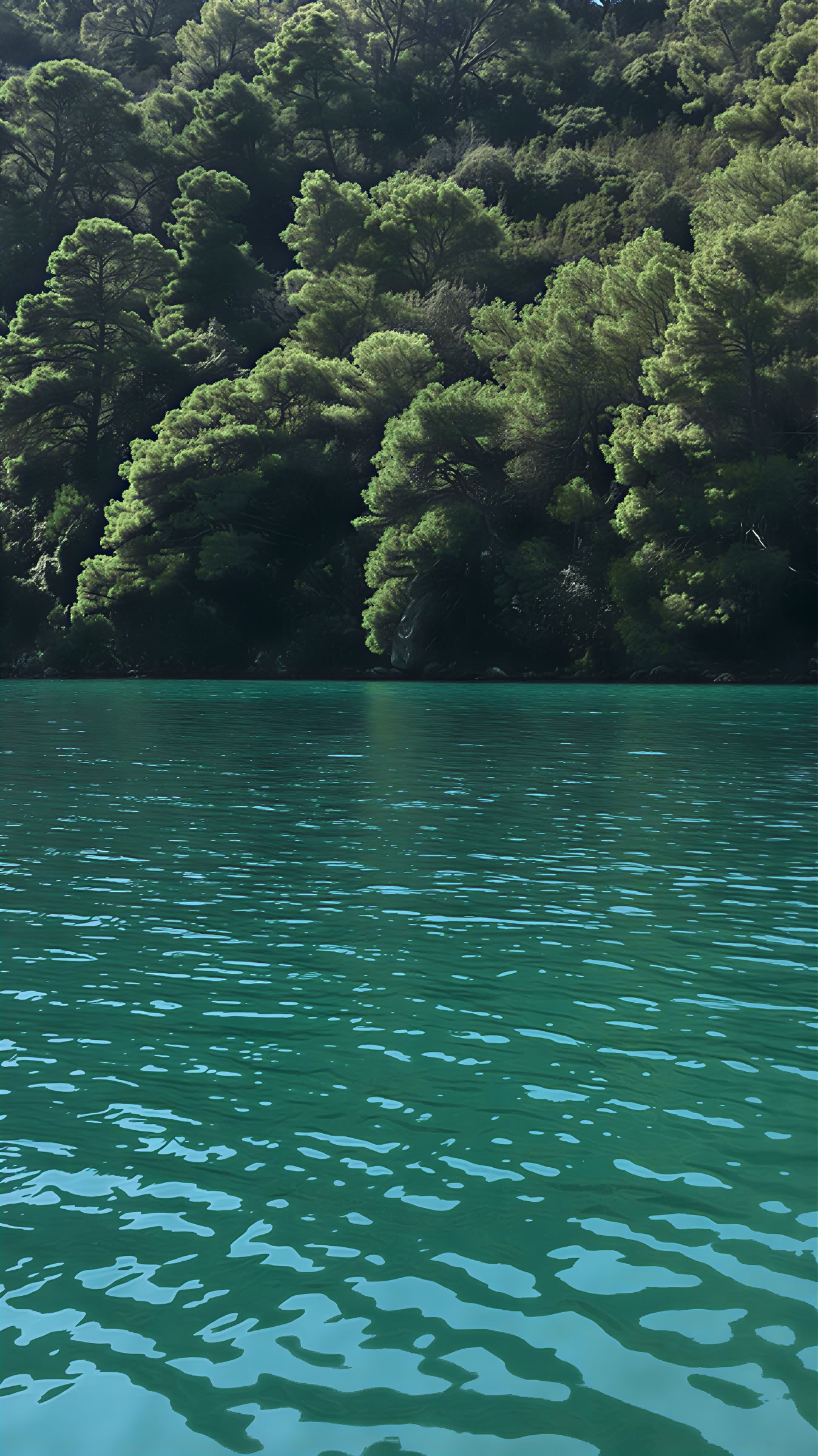 Esperienza di ritiro a Mljet