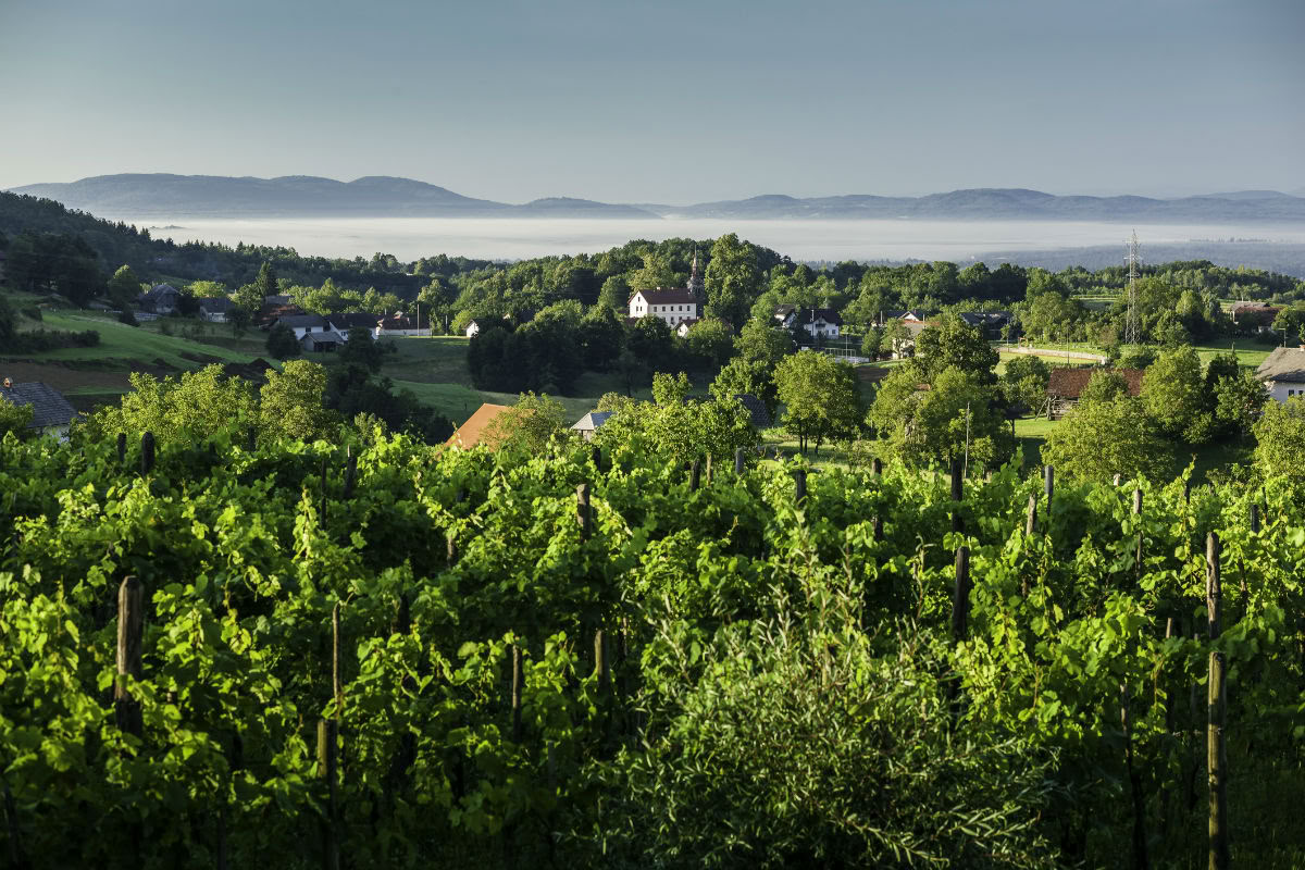 Fuga Benessere in Slovenia
