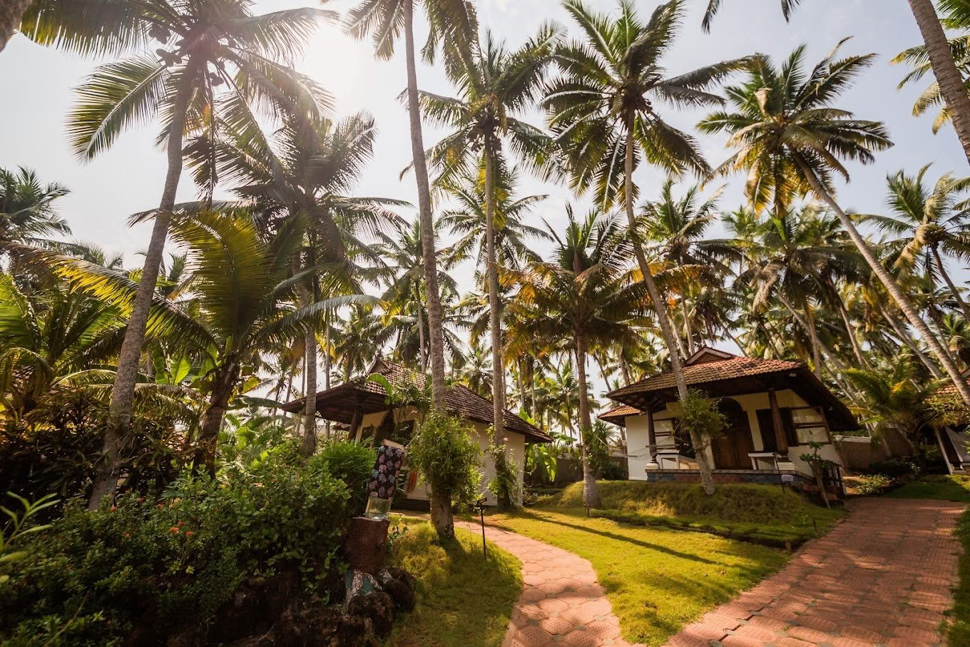 Ritiro di Yoga e Ayurveda in India - 1 settembre