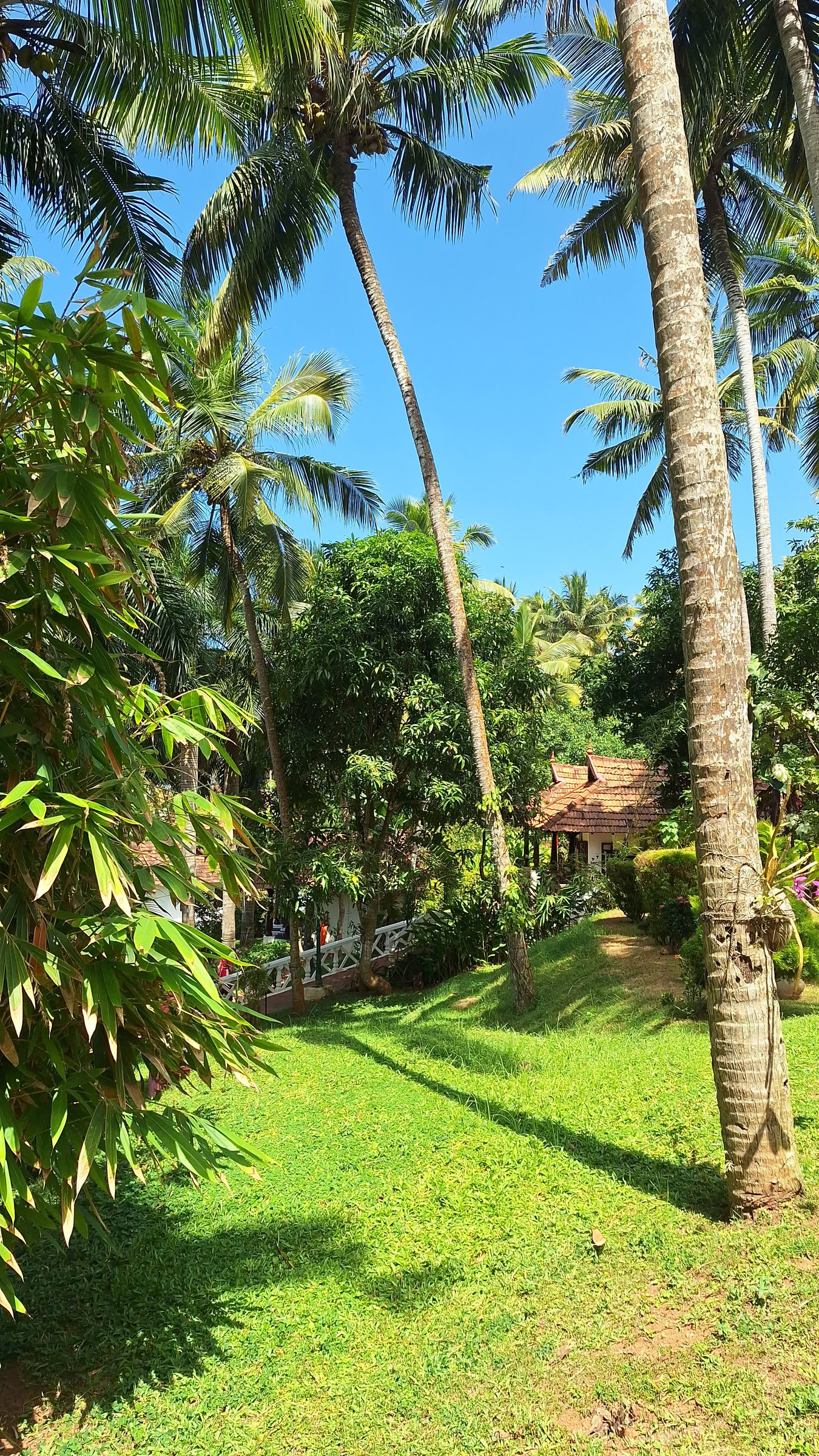 India, aria condizionata, cottage, doppia
