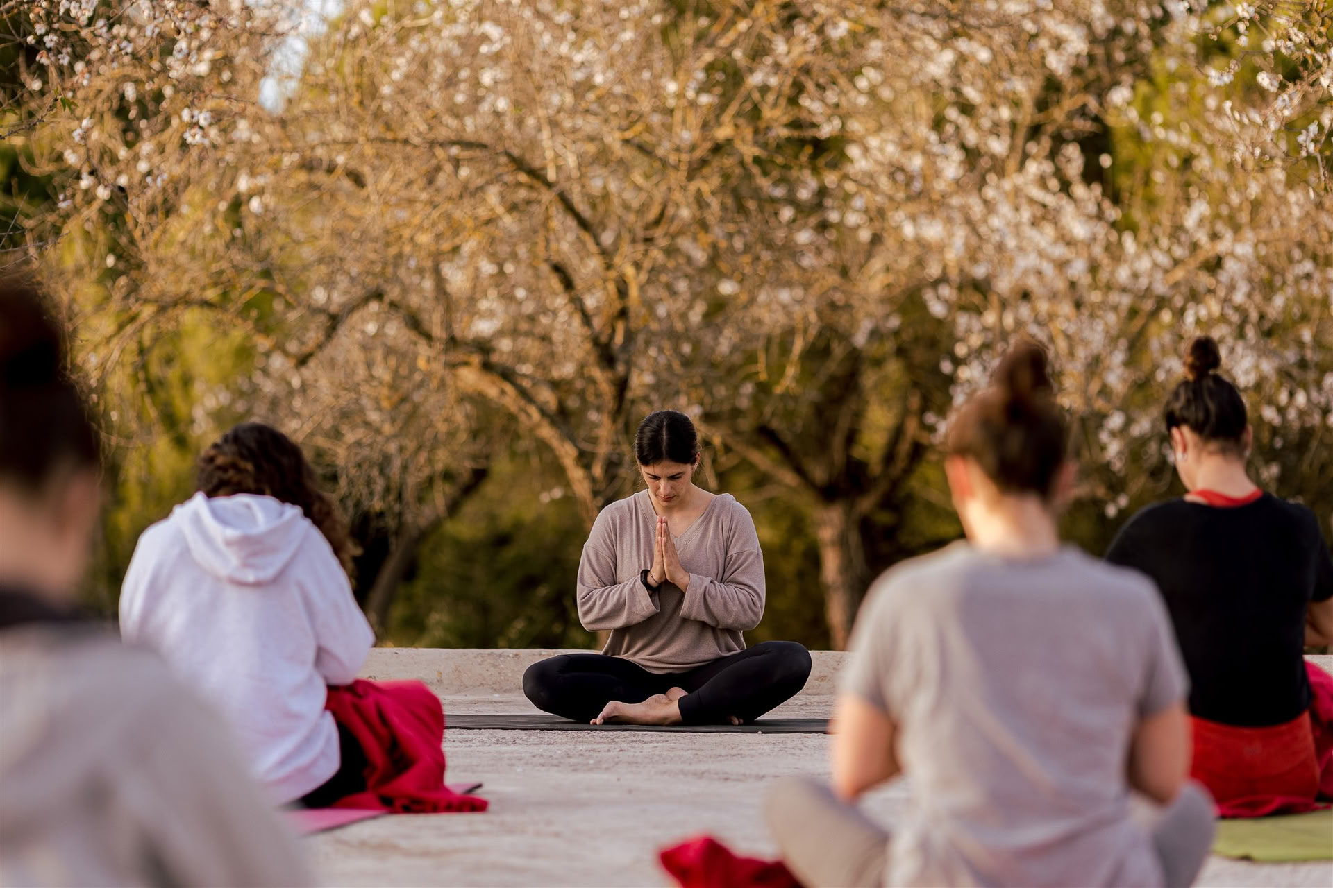 Vinyasa Yoga a IBIZALOE (San Antonio)