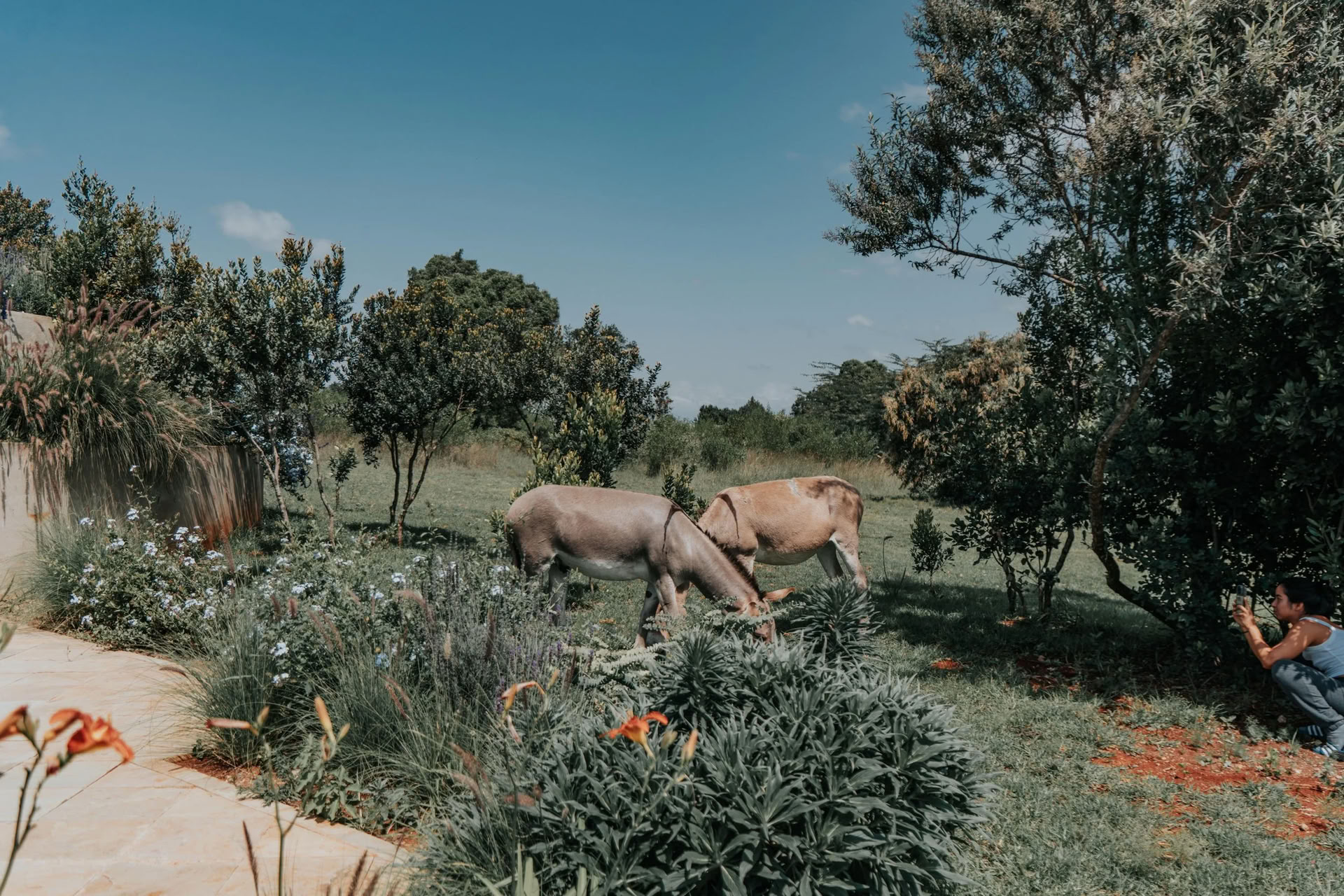 Riconnettiti, Riposati e Ritorna alla Natura