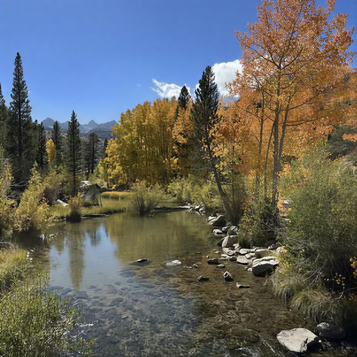 Ritiro di yoga a Bishop Creek