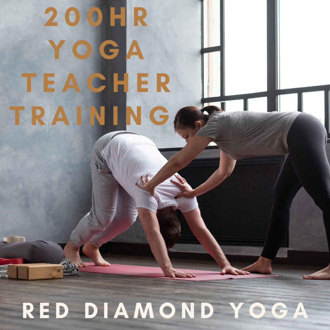 Corso di formazione insegnanti Vinyasa YTT di 200 ore, certificato Yoga Alliance