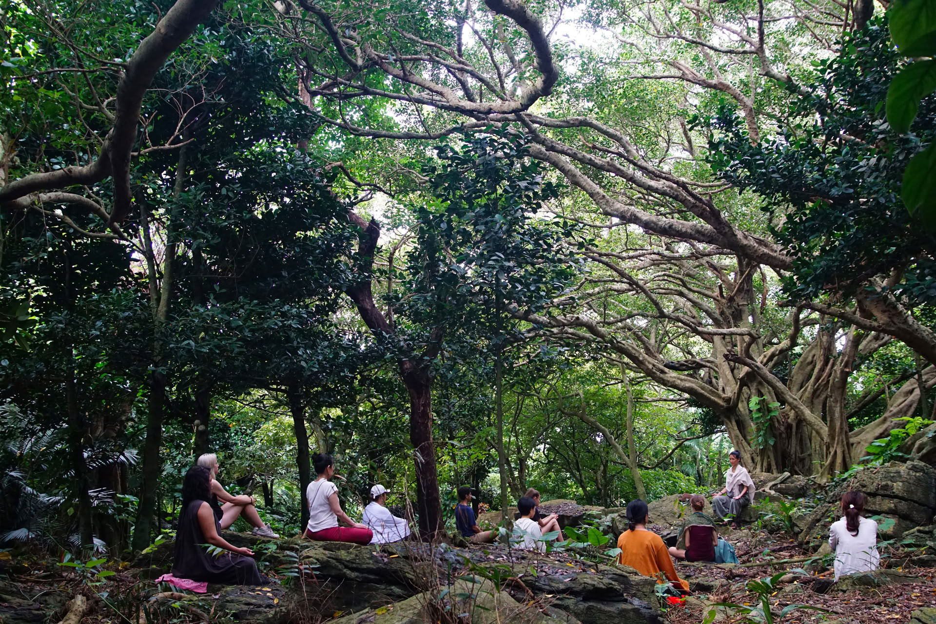 L'arte di rallentare: ritiro di yoga e qigong con Yoga kuukan