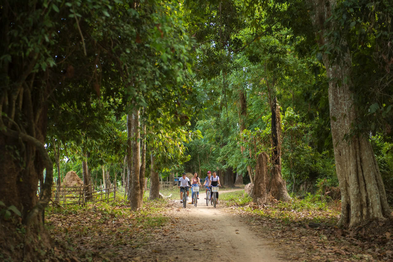 Tour in bicicletta