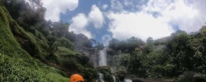 Esploratore tra le cime degli alberi