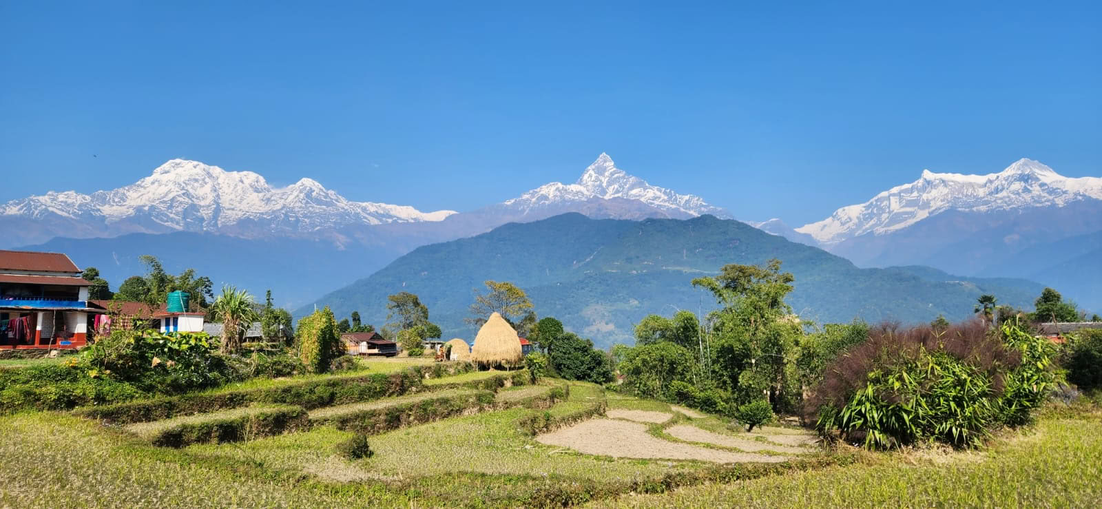 YTTC con vista sull’Himalaya (5 settembre 2026)