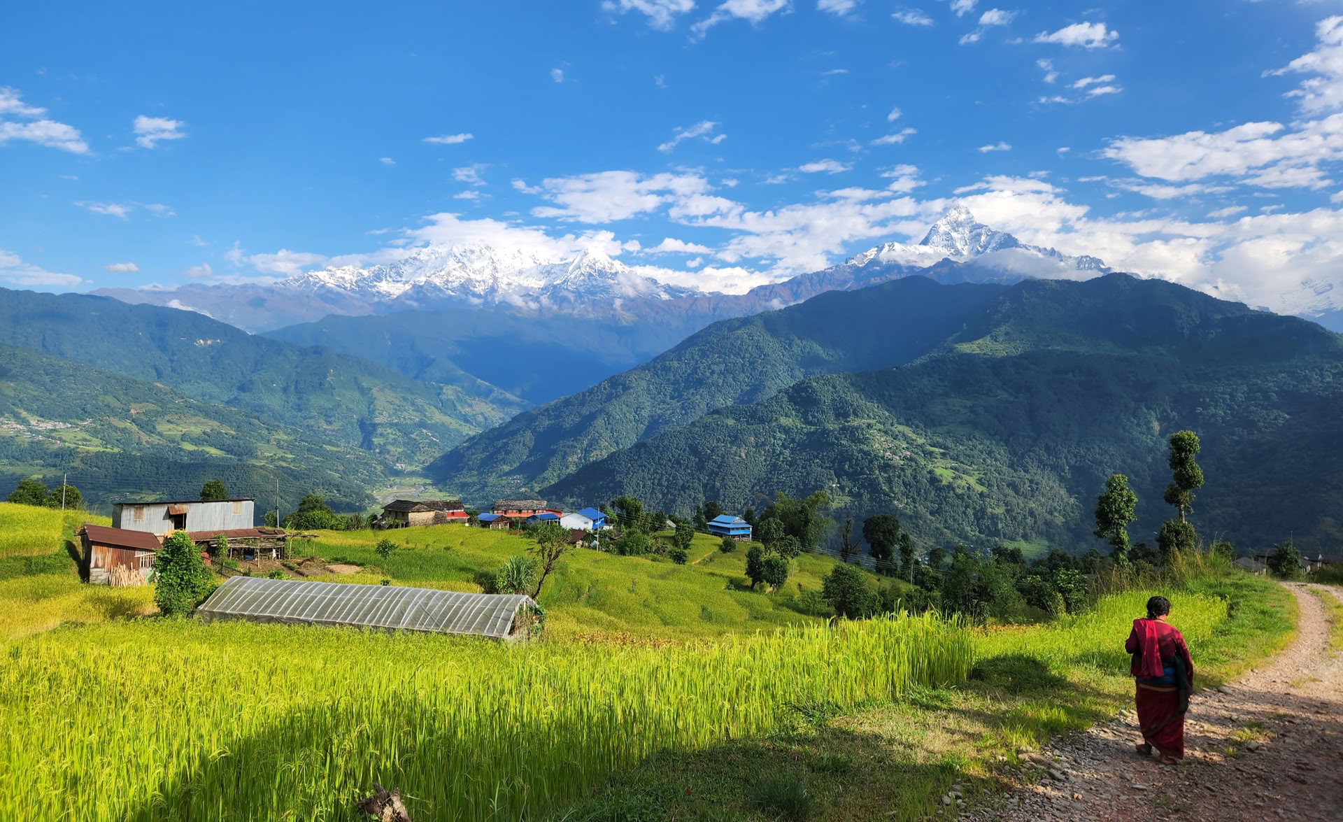 YTTC con vista sull’Himalaya (5 ottobre 2026)