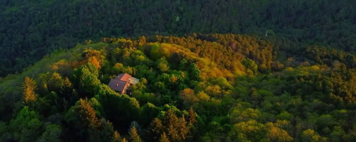 Corso RYT di 200 ore · Toscana, Italia · Certificato Yoga Alliance