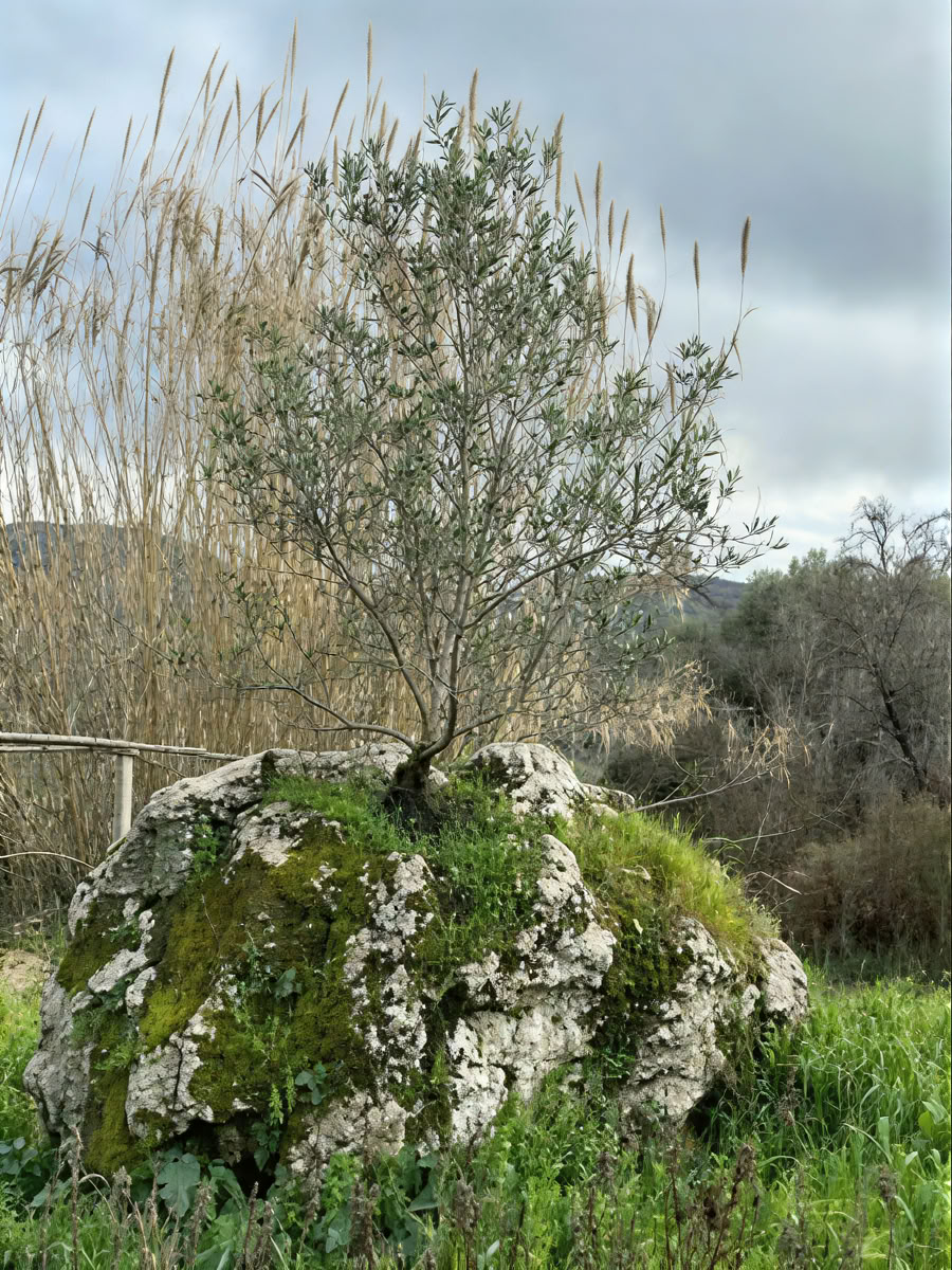 Noleggia un ritiro