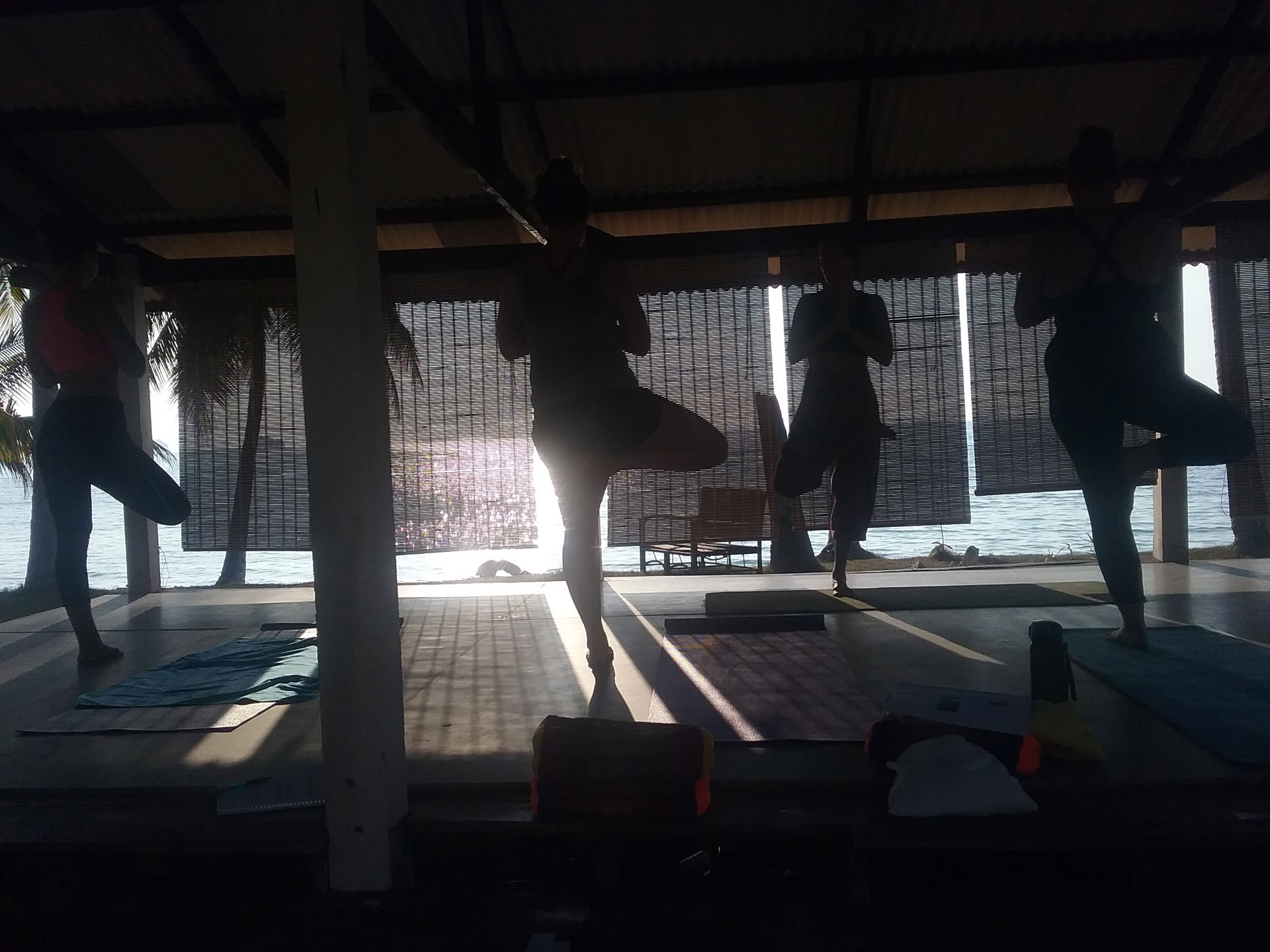 Corso di formazione insegnanti yoga di 200 ore
