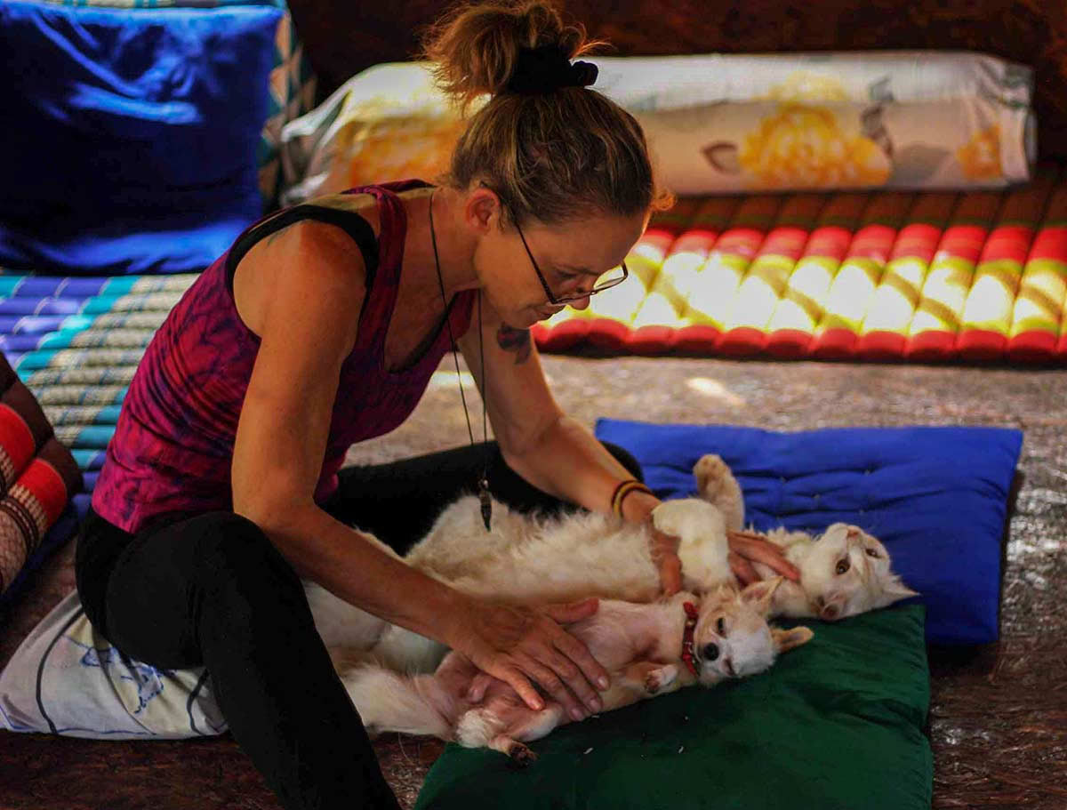 Guarigione Reiki