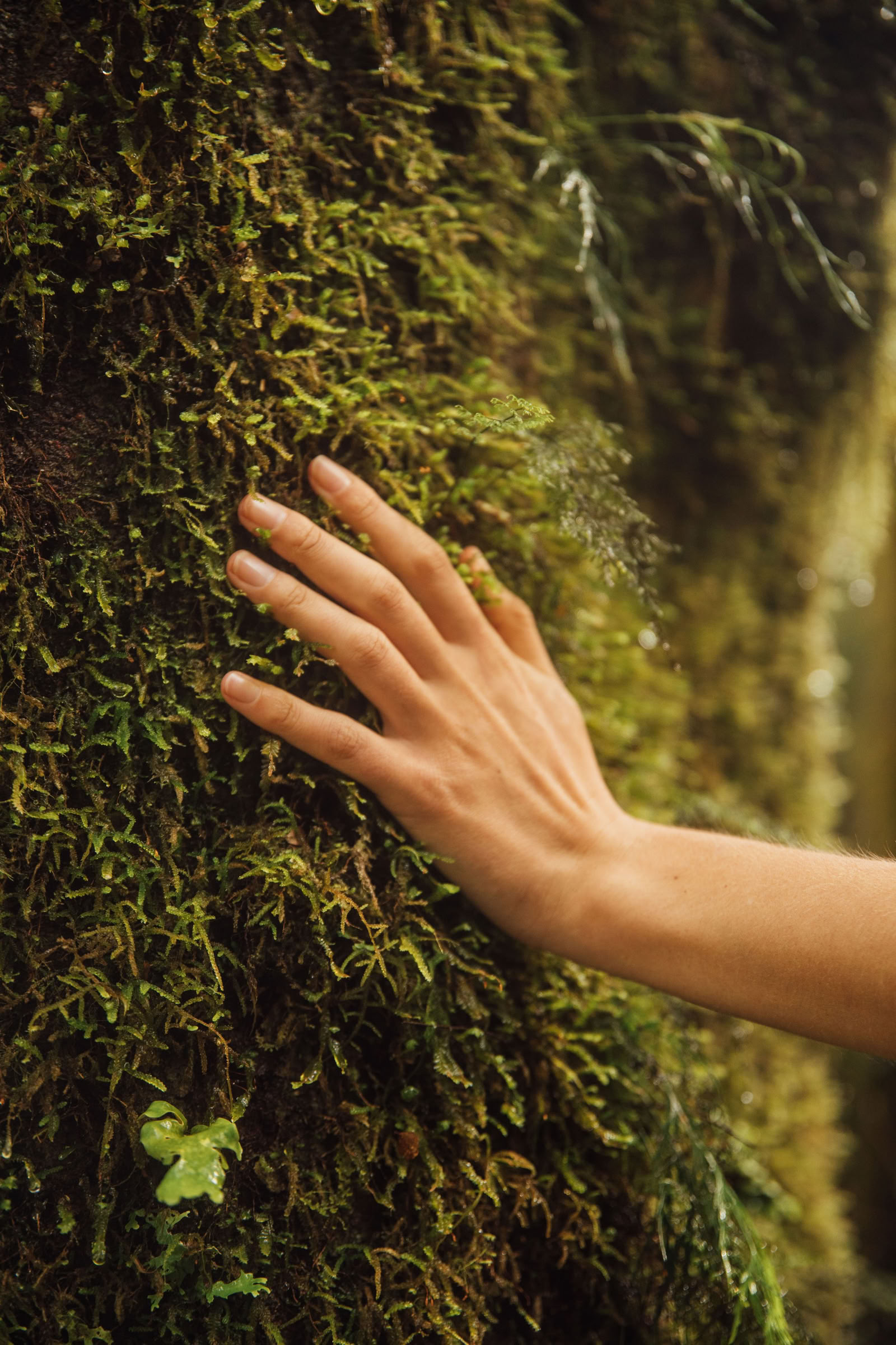 Riconnettiti con la Natura