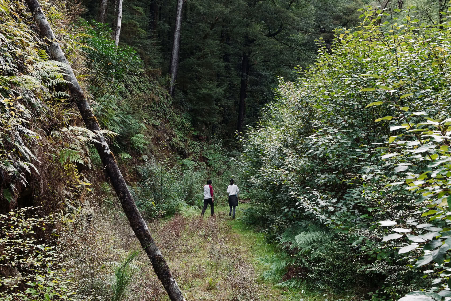 Riconnettiti con la Natura