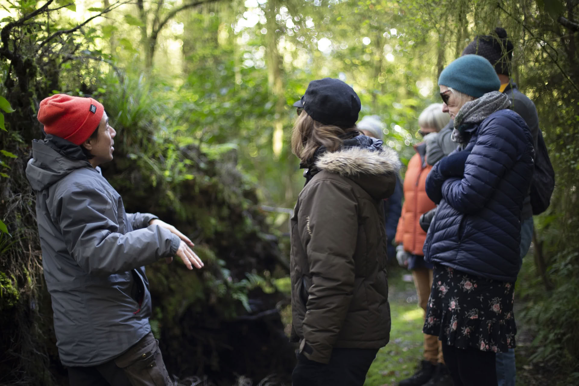 Ritiro di natura e yoga – Isola del Sud, Nuova Zelanda con Joan Hyman | Maruia River Retreat: resort benessere di lusso, Nuova Zelanda