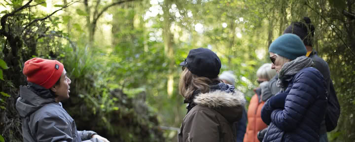 Ritiro di natura e yoga – Isola del Sud, Nuova Zelanda con Joan Hyman | Maruia River Retreat: resort benessere di lusso, Nuova Zelanda