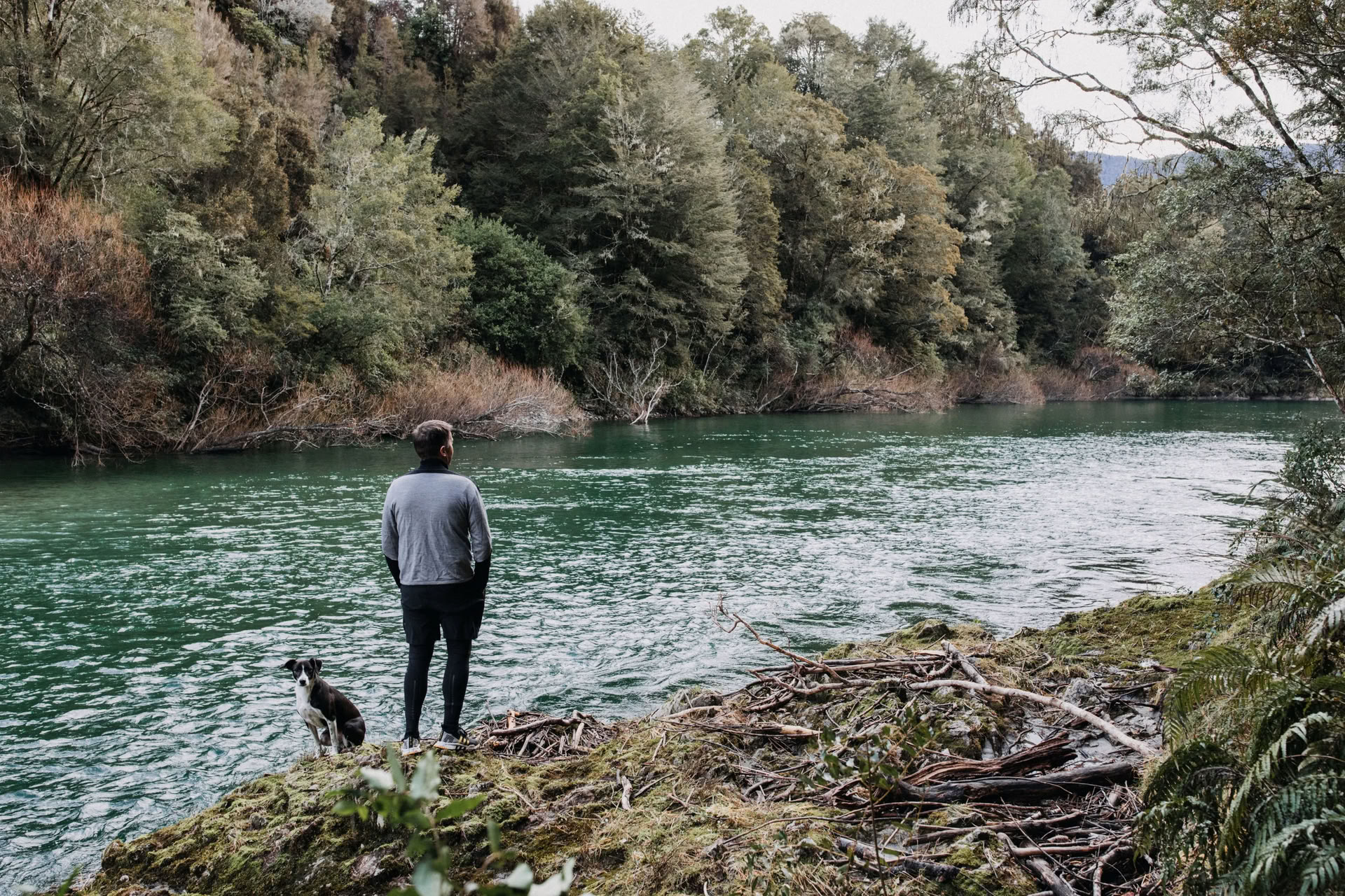 Ritiro di Natura e Yoga – Isola del Sud, Nuova Zelanda con Joan Hyman