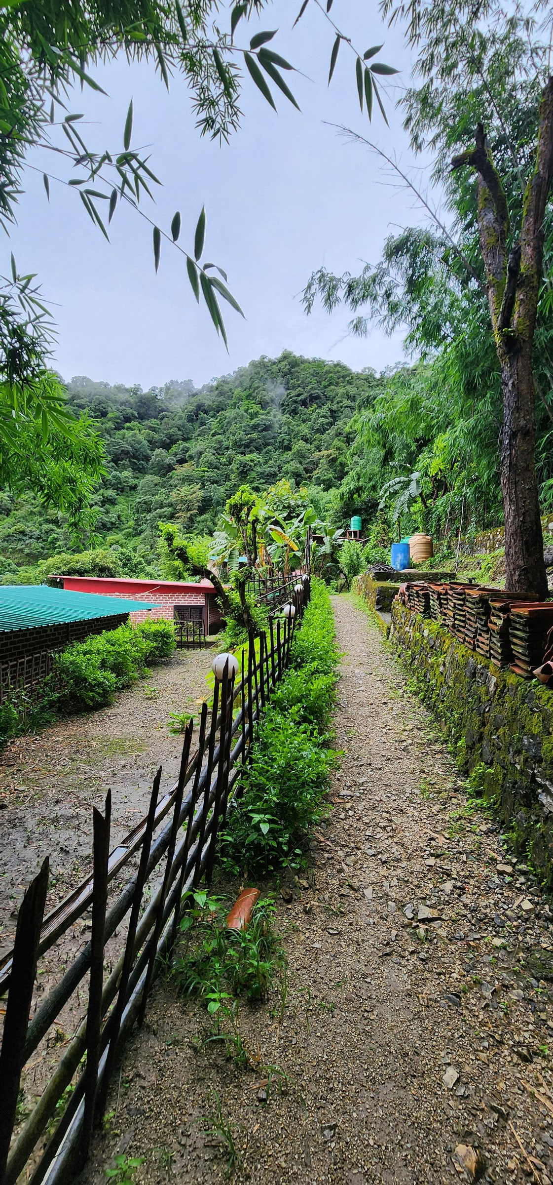 Ritiro di 6 Giorni di Abbandono a Rishikesh