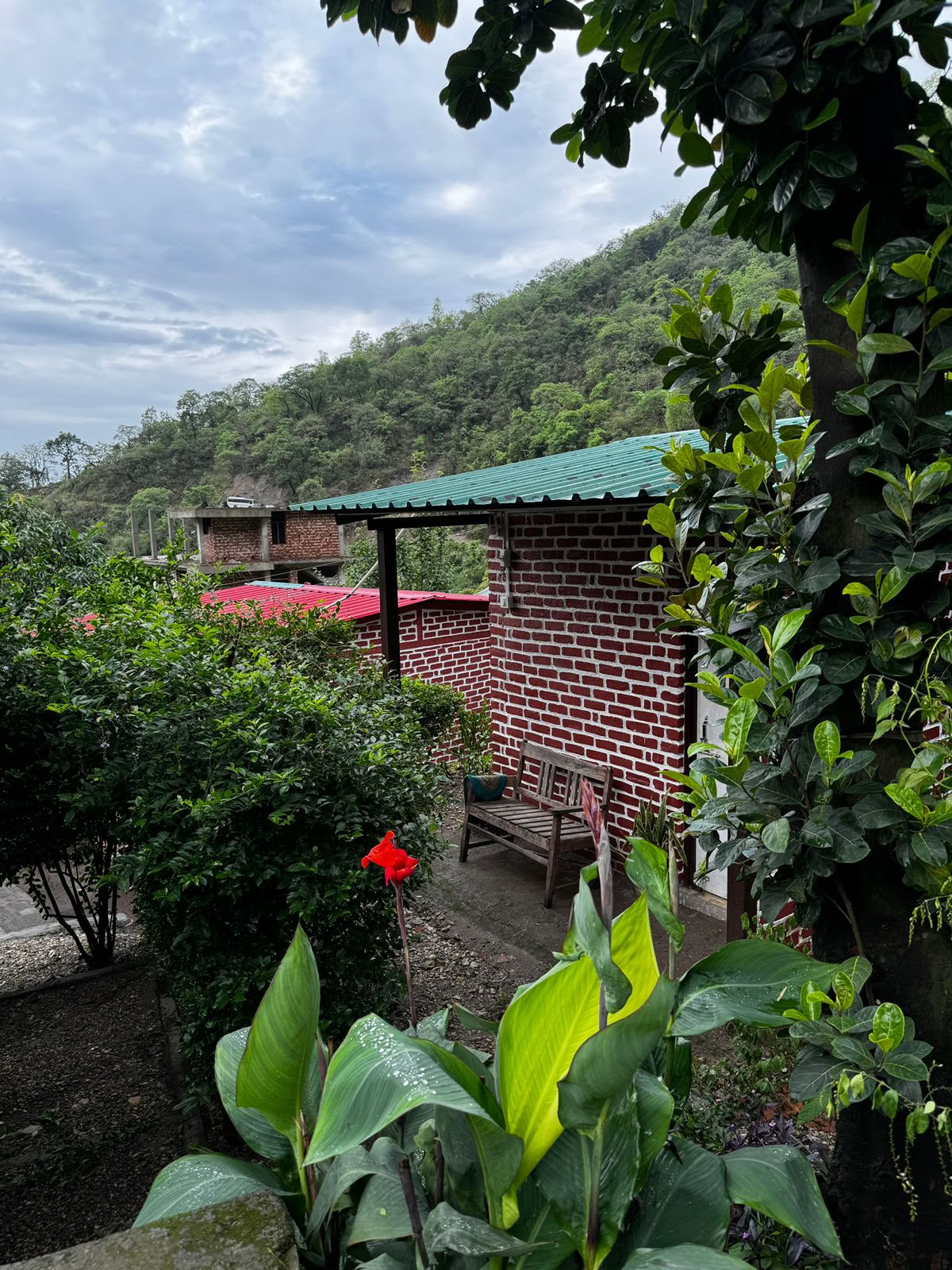 Ritiro di 6 Giorni di Abbandono a Rishikesh