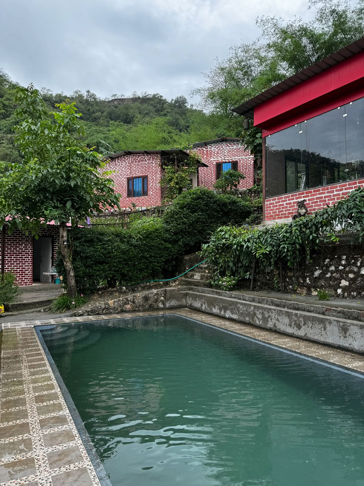 Ritiro di 6 Giorni di Abbandono a Rishikesh