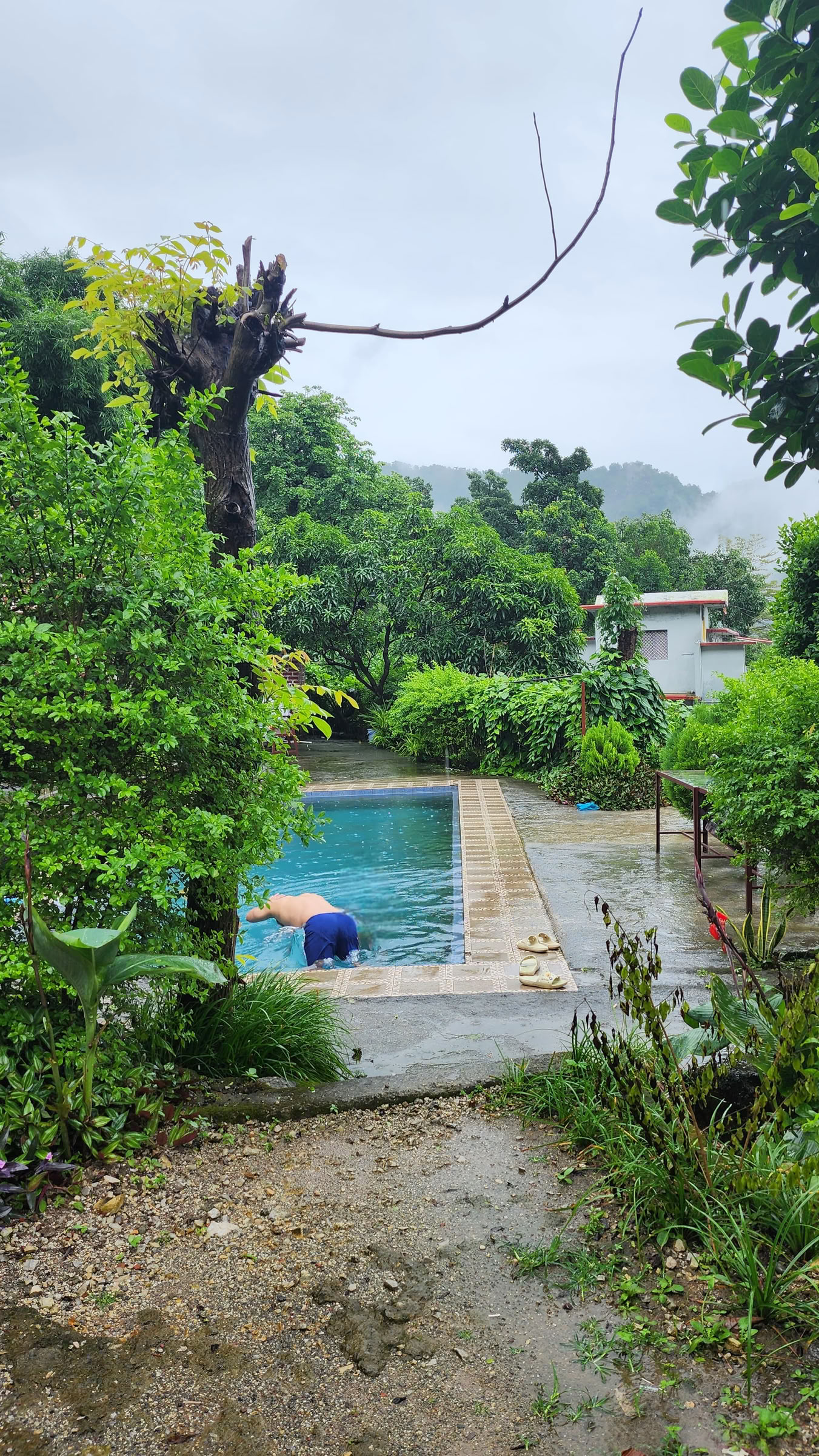Ritiro di 6 Giorni di Abbandono a Rishikesh